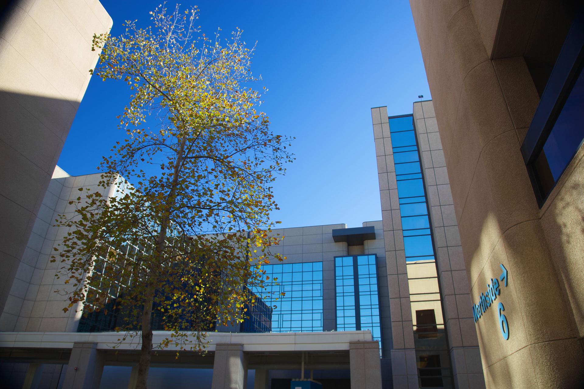 New Hospital Building